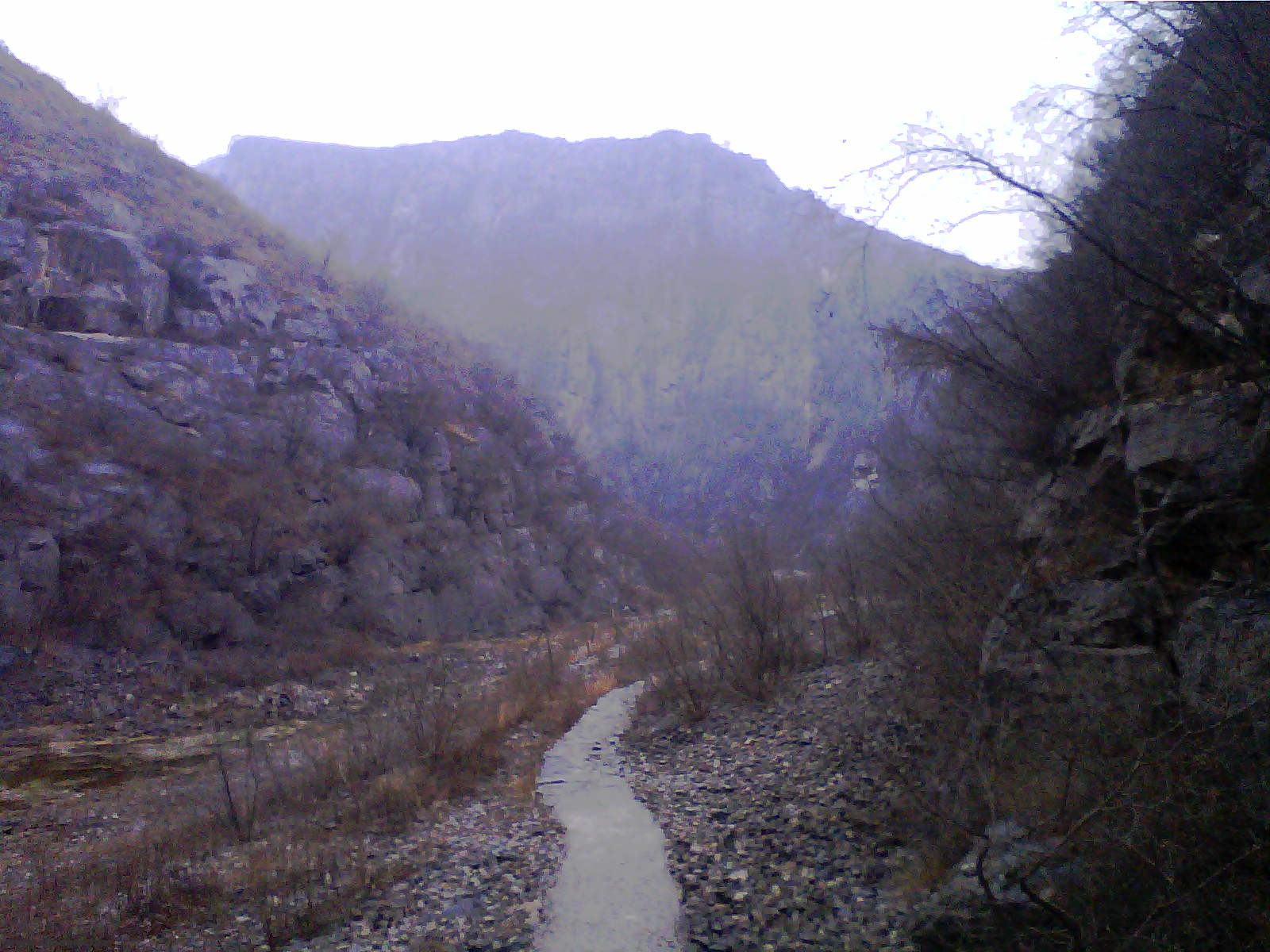 20120301_0923_2.jpg