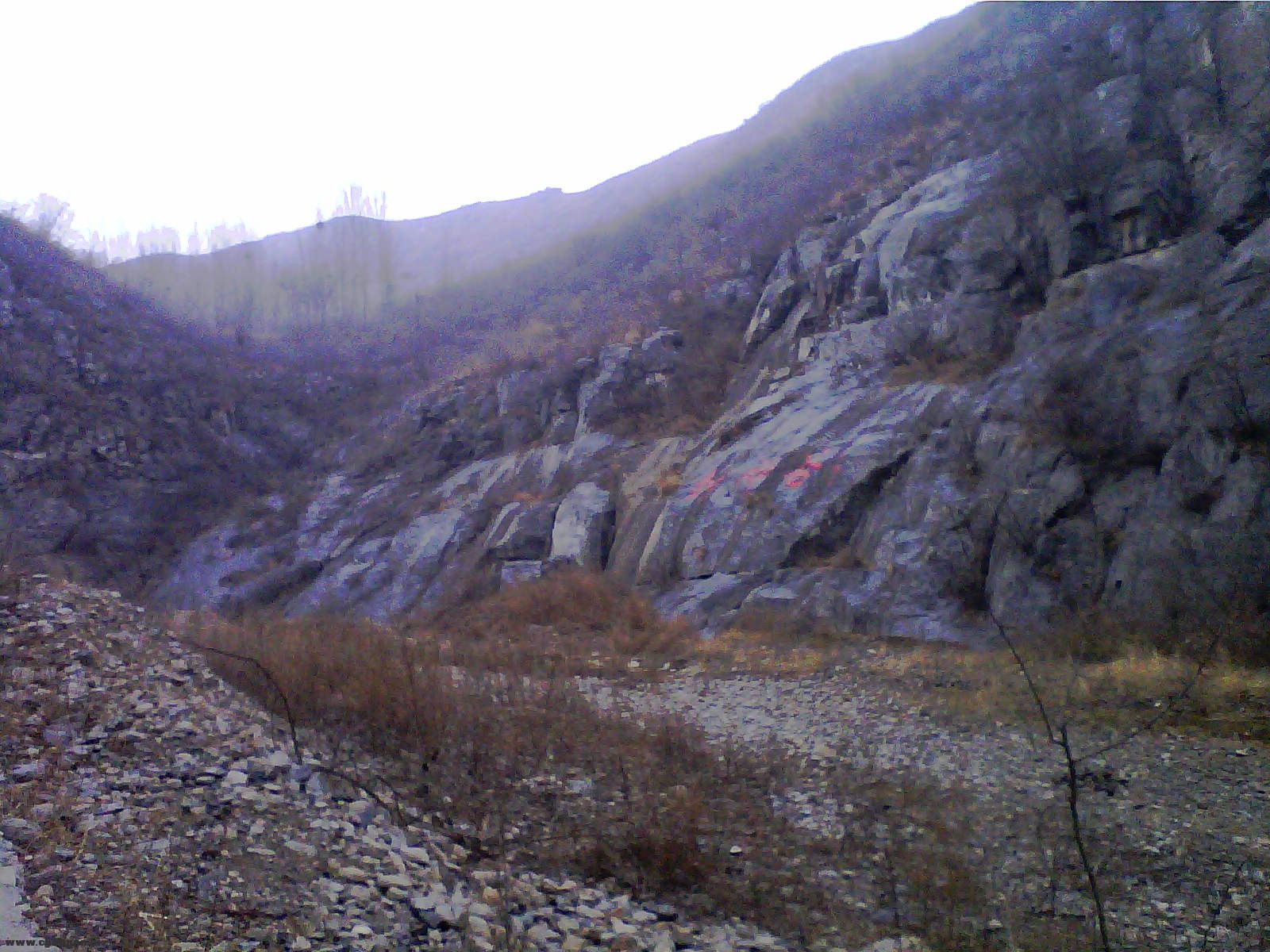 20120301_0924_0.jpg