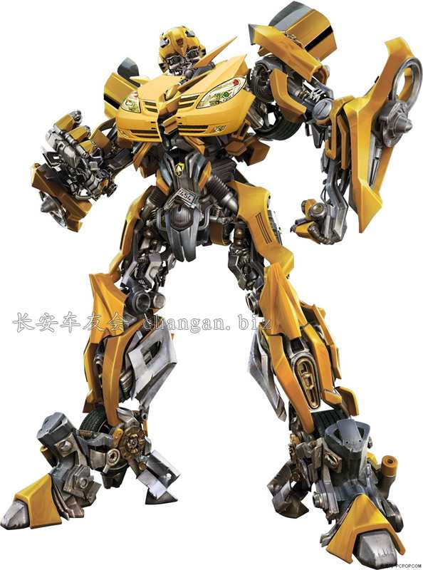 Ʒ䣨Bumblebee.jpg