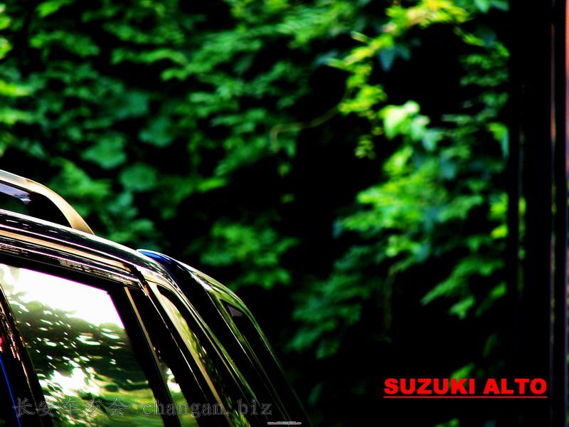 SUZUKI-7.jpg