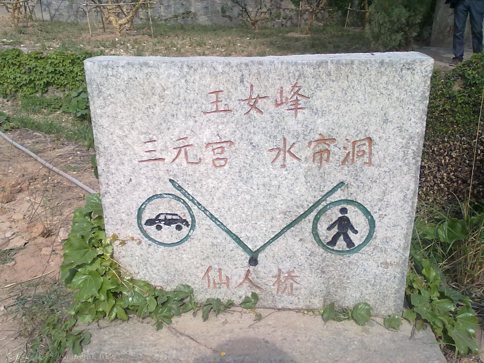 20110503242.jpg