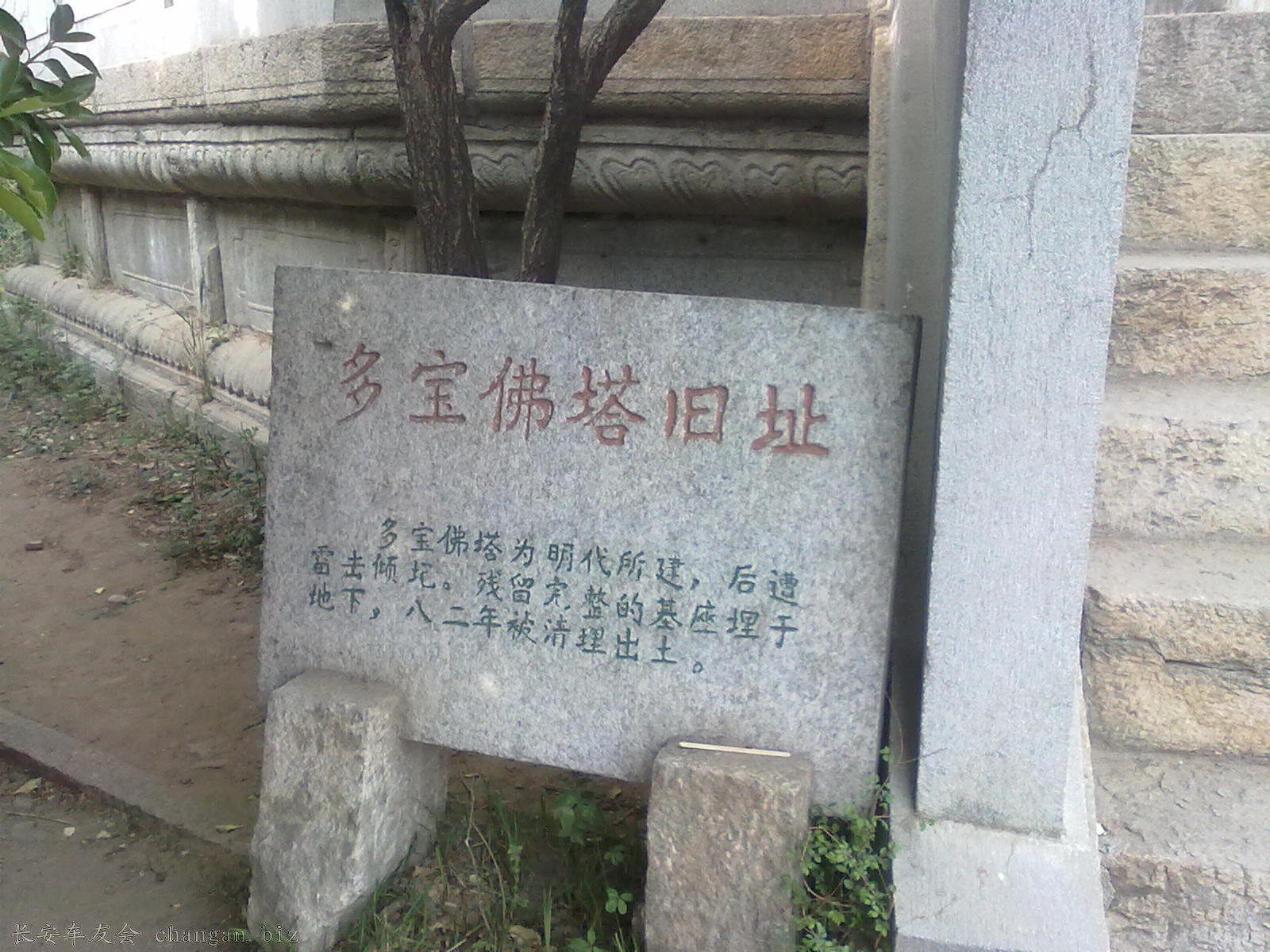 20110503262.jpg