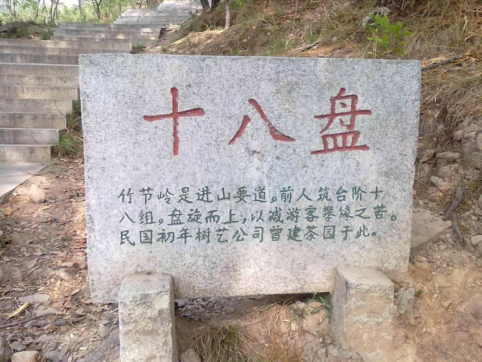 20110503245.jpg